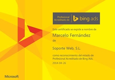 Certificación Microsoft Bing Ads
